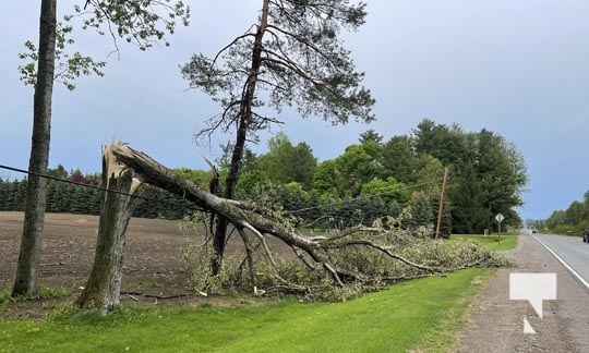 Northumberland County Storm Damage May 21, 2022699
