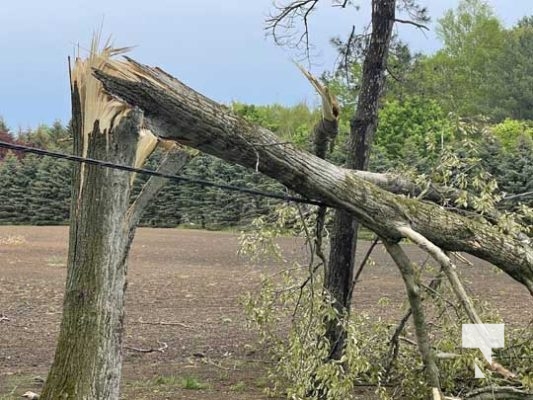 Northumberland County Storm Damage May 21, 2022700