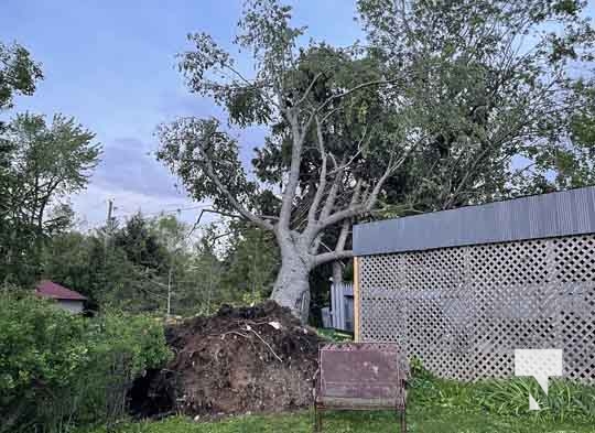 Northumberland County Storm Damage May 21, 2022707