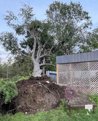Northumberland County Storm Damage May 21, 2022708