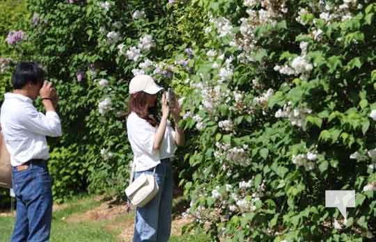 Warkworth Lilac Festival May 28, 2022870