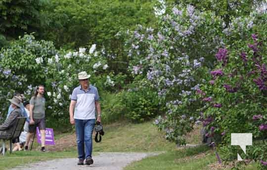 Warkworth Lilac Festival May 28, 2022876