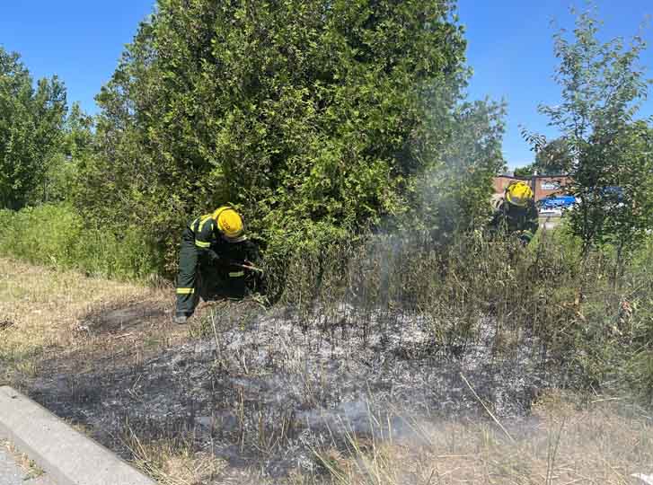 Small Grass Fire Extinguished Quickly by Firefighters - Today's ...