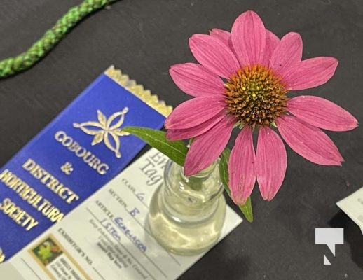 Cobourg Flower Show August 13, 20223209
