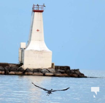 Sailing Lighthouse Cobourg Harbour September 21, 2022122