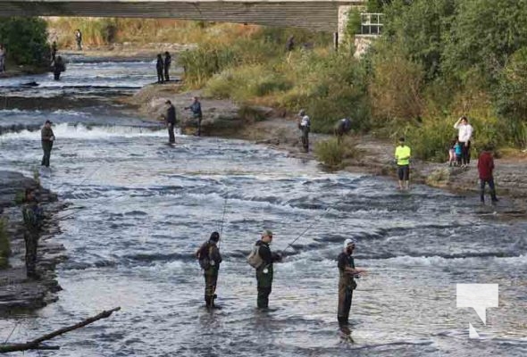 Salmon Fishing Ganaraska River September 25, 2022337