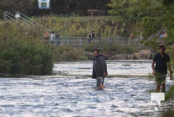Salmon Fishing Ganaraska River September 25, 2022343