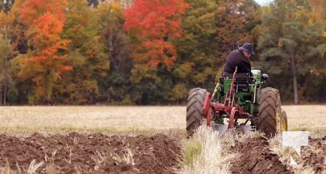 Northumberland Plowing Match October 8, 2022226