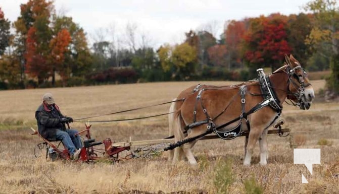 Northumberland Plowing Match October 8, 2022236