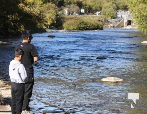 Salmon Ganaraska River October 2, 2022514