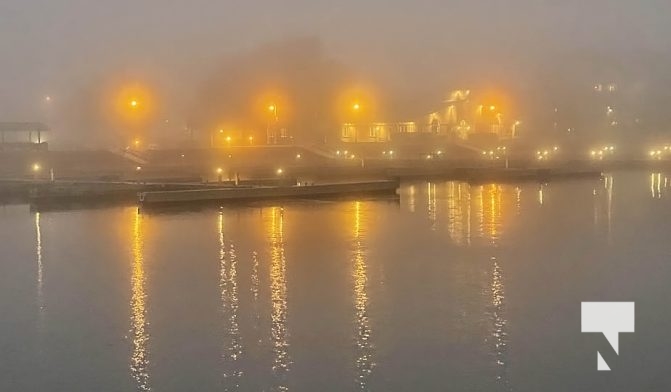 Fog Harbour November 3, 2022836