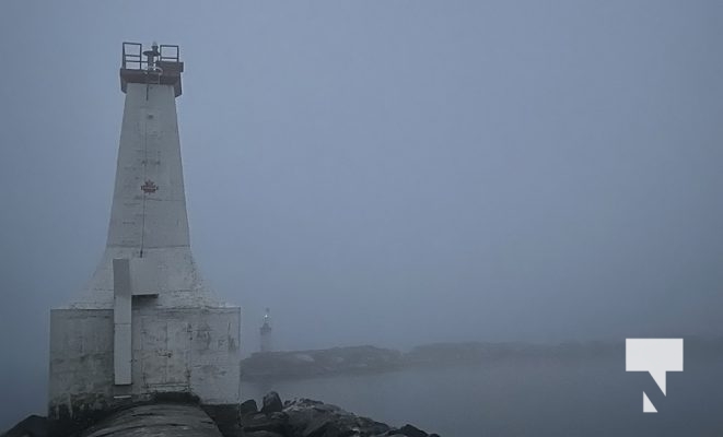 Fog Harbour November 3, 2022839