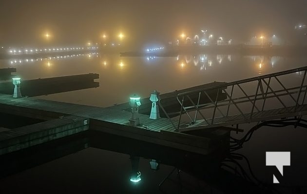 Fog Harbour November 3, 2022847