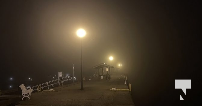 Fog Harbour November 3, 2022853