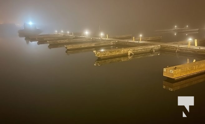 Fog Harbour November 3, 2022854