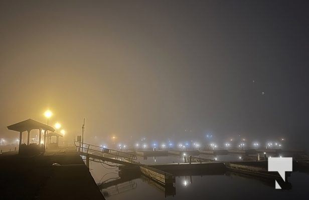 Fog Harbour November 3, 2022855