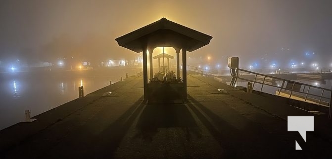 Fog Harbour November 3, 2022856