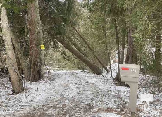 Trees Down Winter Storm December 26, 20221006