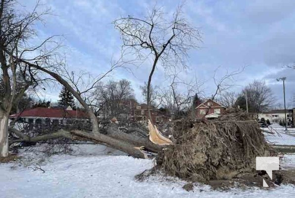 Trees Down Winter Storm December 26, 20221014