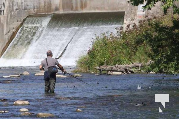 Fishing Corbetts Dam Port Hope September 15, 20223902
