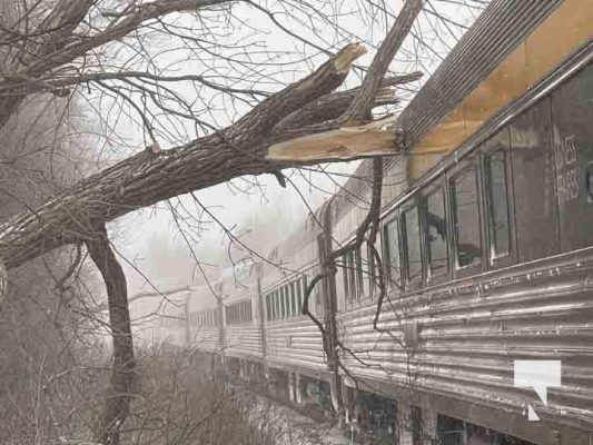VIA Rail Train Strikes Treet Cobourg December 24, 20220875