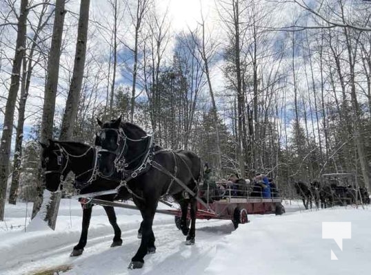 Warkworth Maple Syrup Festival March 11, 2023832