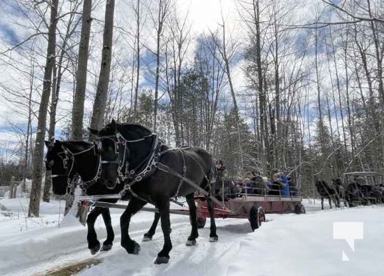 Warkworth Maple Syrup Festival March 11, 2023833