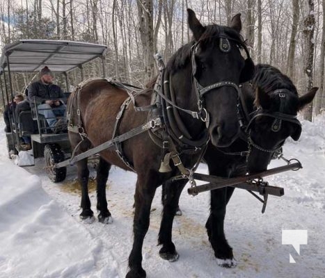 Warkworth Maple Syrup Festival March 11, 2023834
