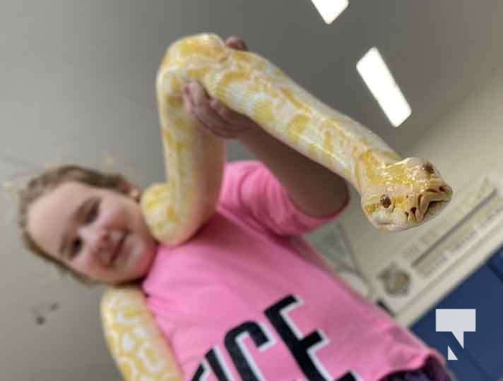 Browning reptiles brings sunshine to students at burnham public school
