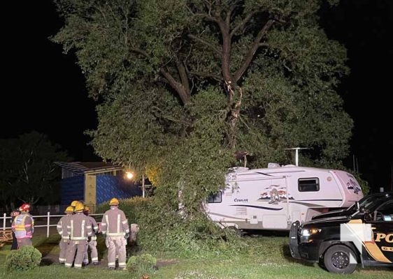 Tree Limb Camper June 12, 2023333