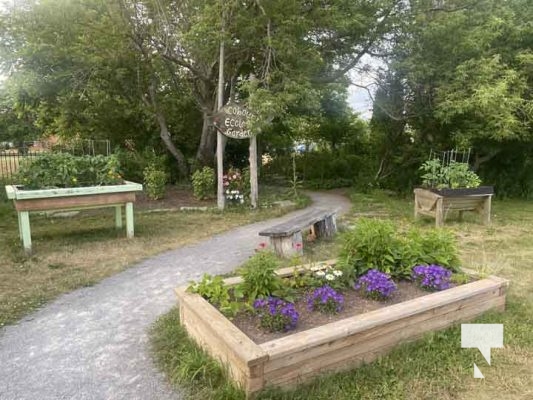 Cobourg Ecology Garden July 10, 2023290
