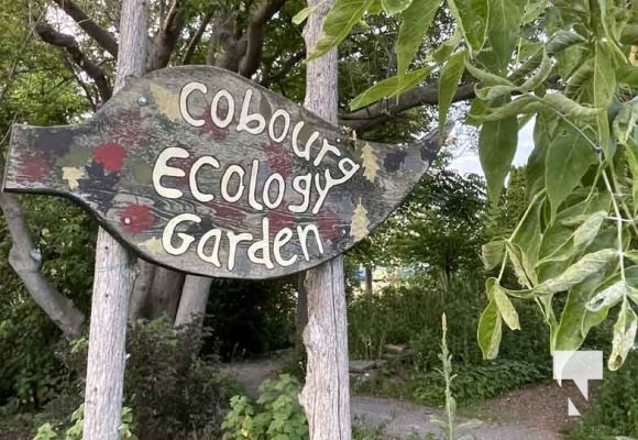 Cobourg Ecology Garden July 10, 2023293