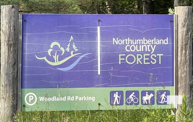Northumberland County Forest June 29, 2023841