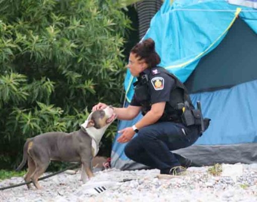 Homeless Encampment August 7, 2023873
