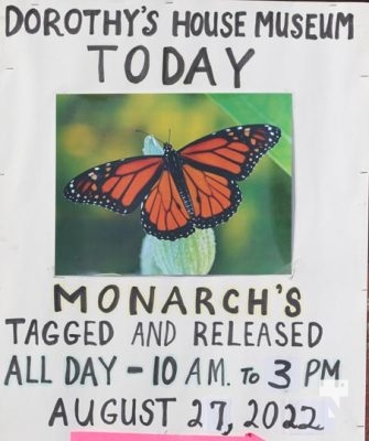 Monarch Butterfly Dorothys House August 26, 20231339