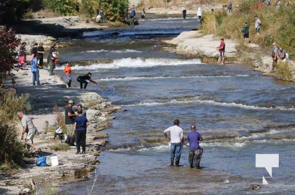 Salmon Fishing Port Hope September 30, 2023200