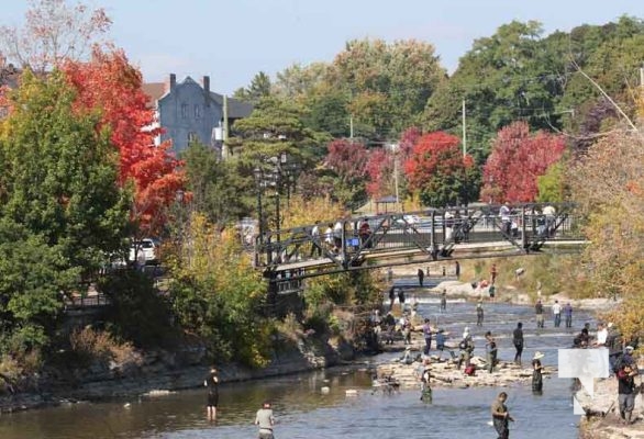 Salmon Fishing Port Hope September 30, 2023206