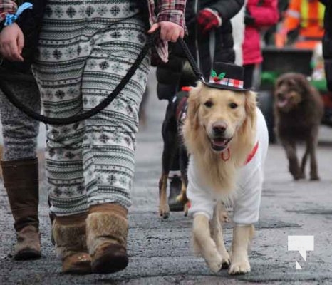 Castleton Pet Parade December 3, 2023 098