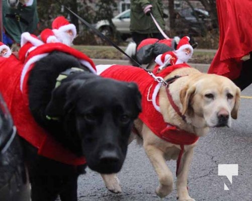 Castleton Pet Parade December 3, 2023 109