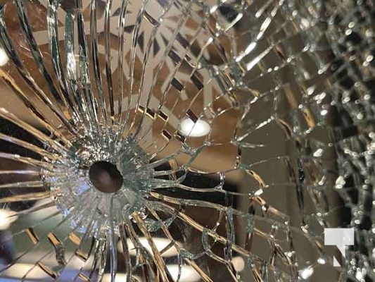 Shot Pellet Breaks Window Tim Hortons December 26, 2023 500