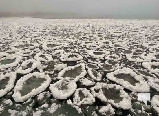 Fog Lakeshore Ice January 27, 2024 303