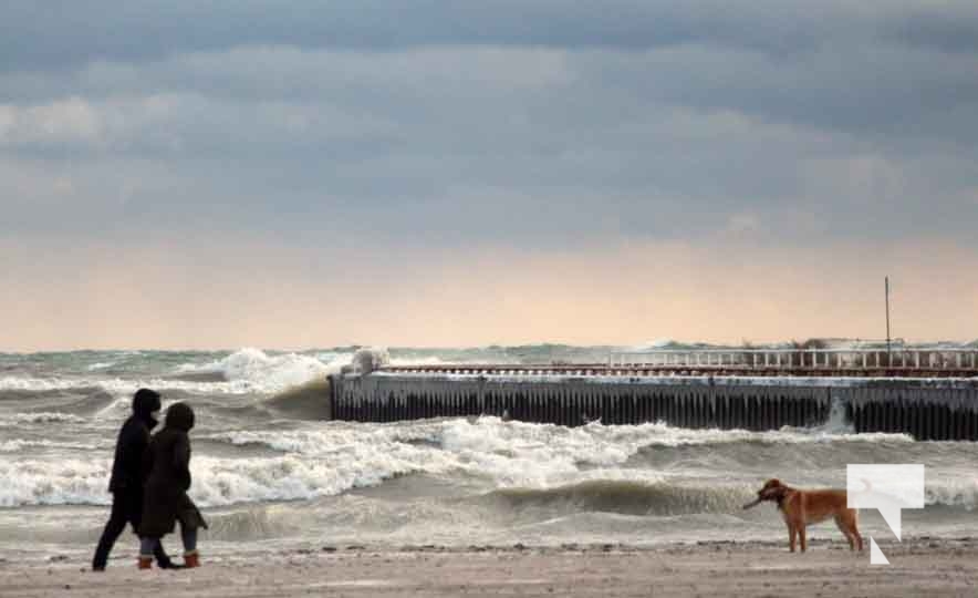 Winter Cobourg Harbour January 14 2024 167 Today S Northumberland   Winter Cobourg Harbour January 14 2024 167 