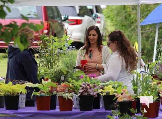 Warkworth Lilac Festival May 25, 2024 0213