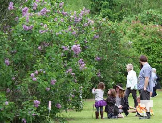 Warkworth Lilac Festival May 25, 2024 0220