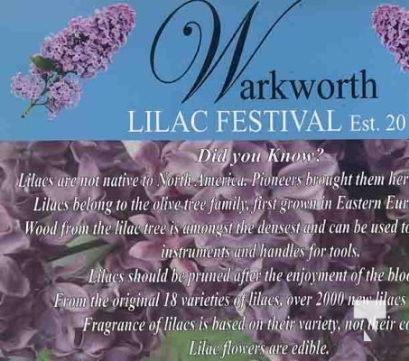 Warkworth Lilac Festival May 25, 2024 0226