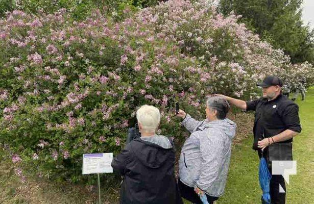 Warkworth Lilac Festival May 25, 2024 0229