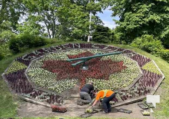 Floral Clock Victoria Park June 11, 2024 0656