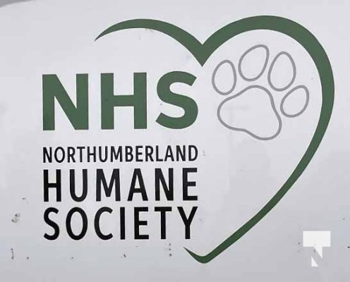 Northumberland Humane Society June 26, 2024282