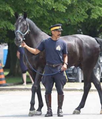 RCMP Musical Ride June 22, 202484