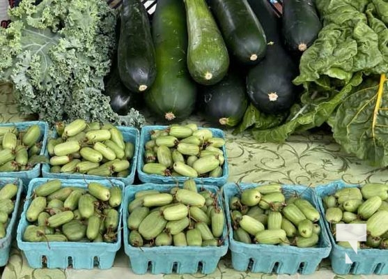 Cobourg Farmers Market July 27, 20241380